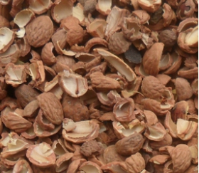 核桃深加工——核桃油，核桃粉，核桃工藝品，活性炭制品(圖3)