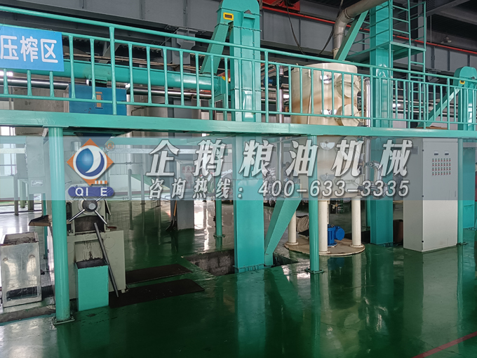 企鵝牌茶籽油雙螺桿榨油機(jī)，用心制造獲得客戶認(rèn)可(圖3)