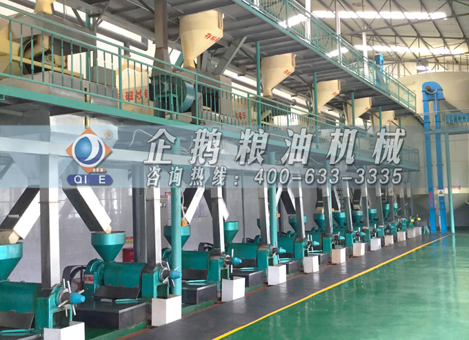如何降低壓榨花生油中黃曲霉毒素含量？企鵝糧油機(jī)械為您提供可靠方法(圖2)