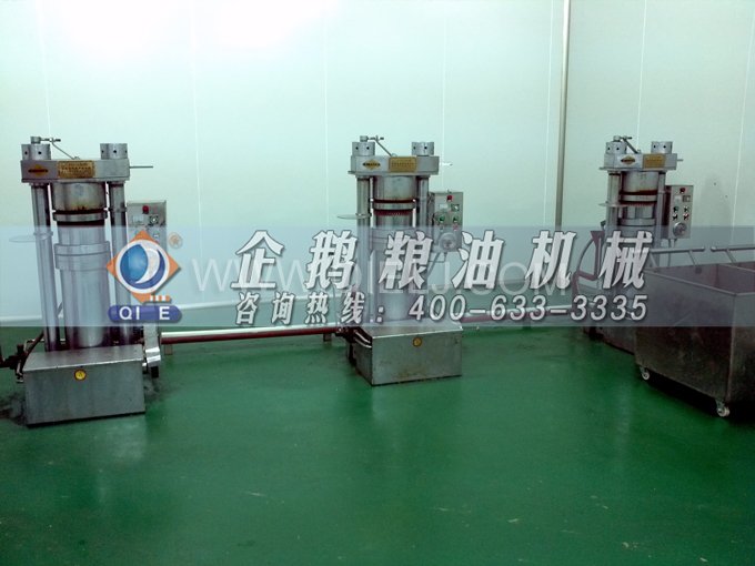 芝麻油壓榨處理設(shè)備，企鵝牌液壓榨油機勇于創(chuàng)新生產(chǎn)效率高(圖4)