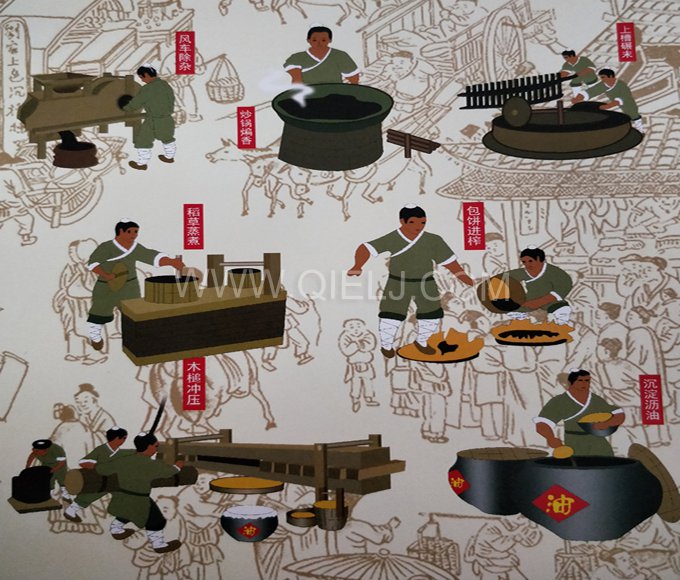 芝麻油提取加工，企鵝糧油機(jī)械生產(chǎn)色香味俱佳的油脂(圖2)